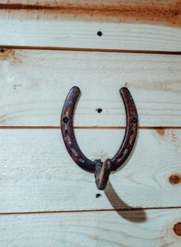 Horse Shoe Wall hooks