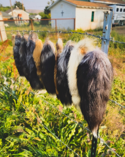 Foxy Fox Tails