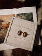 Painted Desert Earrings