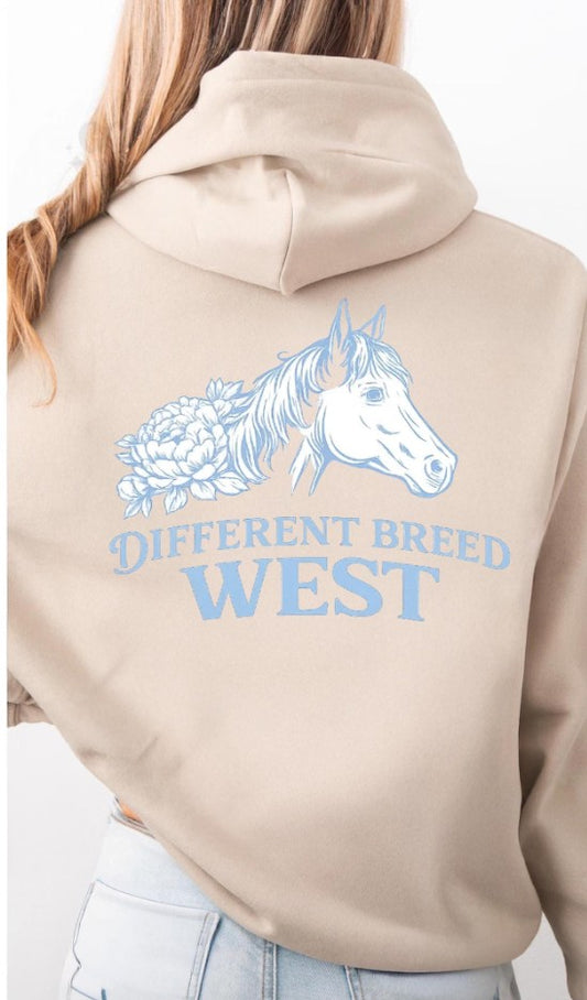 DBW Hoodie